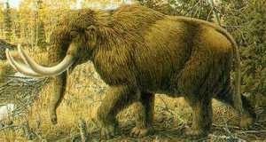 Artist's depiction of a Mastodon.
