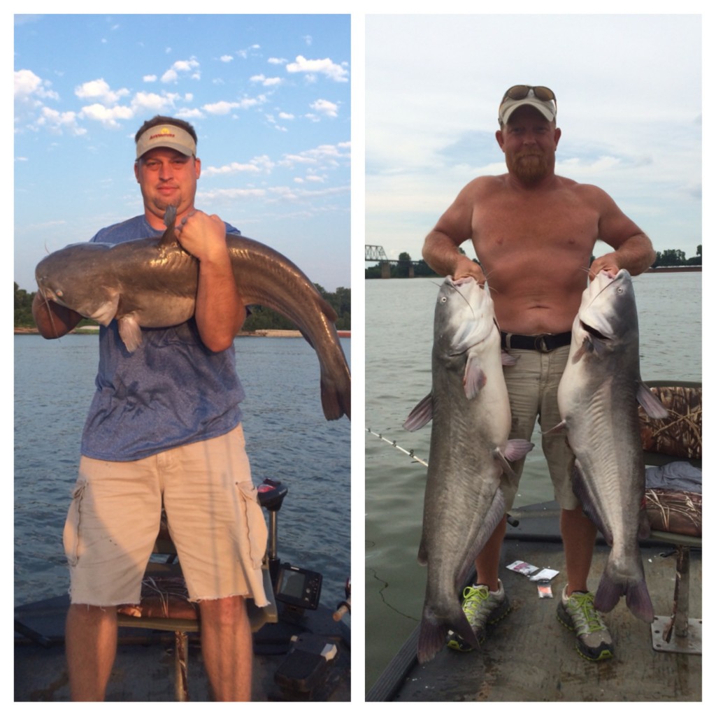 Damon Secoy and Terry Shands from East Prairie, MO with some big, blue catfish from Ohio River near Cairo, IL