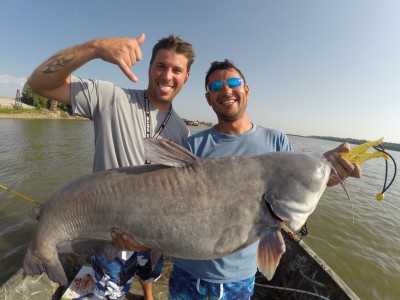 Justin Berry and Joe Rendon with a monster blue catfish from the Ohio/Mississippi River confluence area