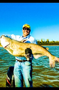Photo of the Week: Jason Aycock with a big Mississippi River blue catfish