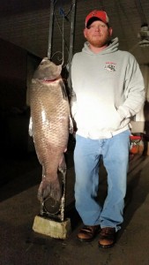 Jon Hunter from Portageville/New Madrid, MO with his new bowfishing state record big mouth buffalo